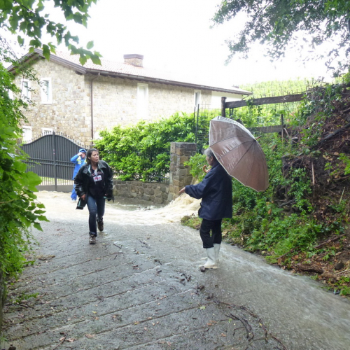 Interventi per maltempo del 29-31/05 n. 9 / 96438