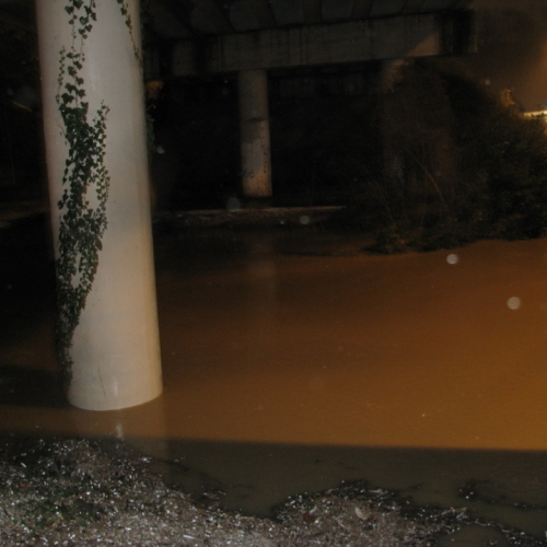 Attivit‡ di monitoraggio n. 17 / 103511