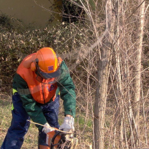 Addestramento 14/03 n. 2 / 35968