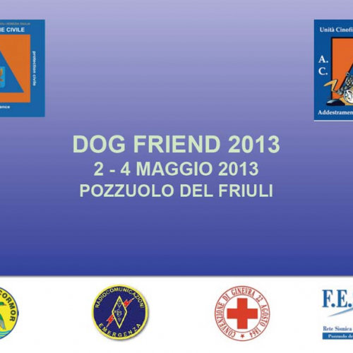 Esercitazione DOG FRIEND 2013" n. 1""sercitazione "DOG FRI""ercitaz" / 94648