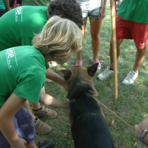 G.R.E.S.T. 2011 n. 5 / 70348