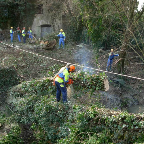 Intervento Ronchis n. 2 / 78897