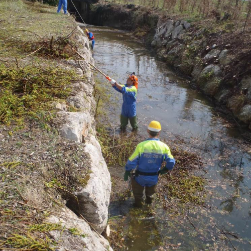 Intervento Caneva n. 2 / 78853