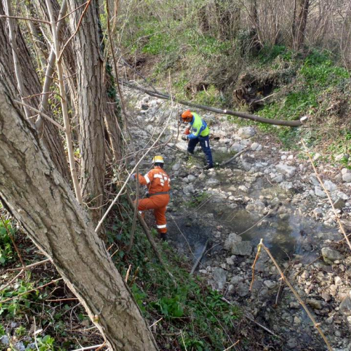 Intervento Fanna n. 2 / 78931