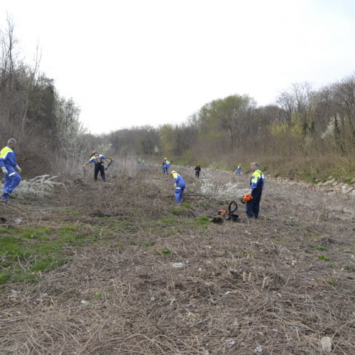 Intervento Torrente Cormor in localit‡ Basaldella n. 22 / 78536