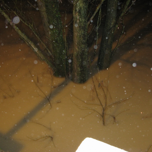 Attivit‡ di monitoraggio n. 18 / 103512