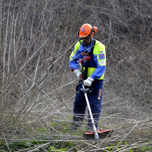 Intervento Torrente Cormor in localit‡ Basaldella n. 23 / 78537