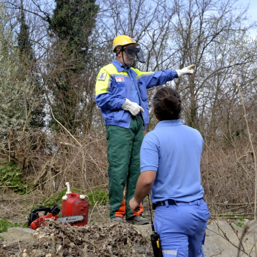 Intervento Torrente Cormor in localit‡ Basaldella n. 25 / 78539