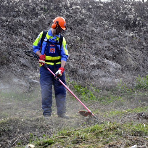Intervento Torrente Cormor in localit‡ Basaldella n. 26 / 78540