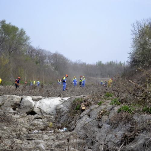 Intervento Torrente Cormor in localit‡ Basaldella n. 27 / 78541