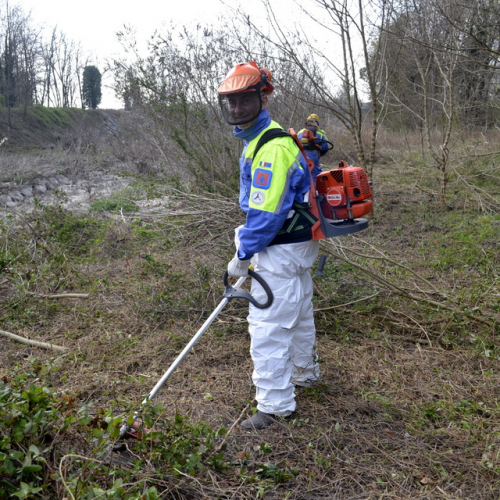 Intervento Torrente Cormor in localit‡ Basaldella n. 30 / 78544