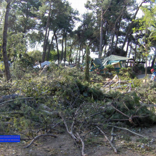 Volontari a Grado per emergenza 9 agosto 2 / 28013