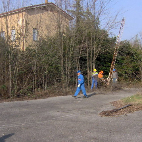 Addestramento 14/03 n. 1 / 35967