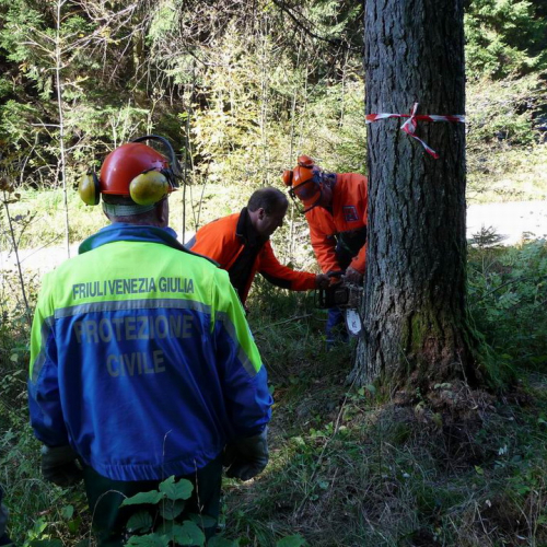 Corso motosega 10/10/10 n. 3 / 56969