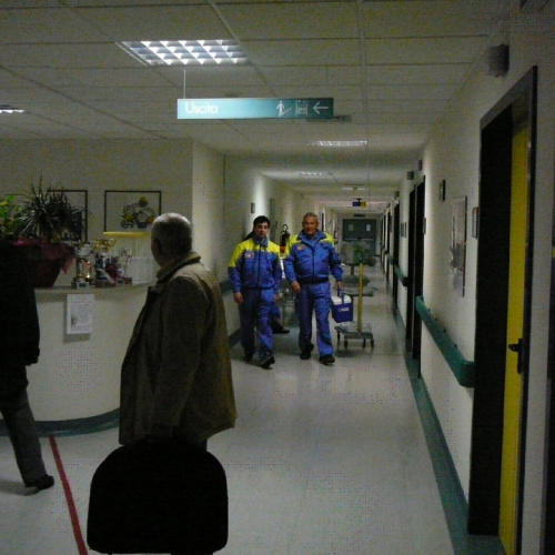 Trasporto sangue cordonale n. 2 / 49897