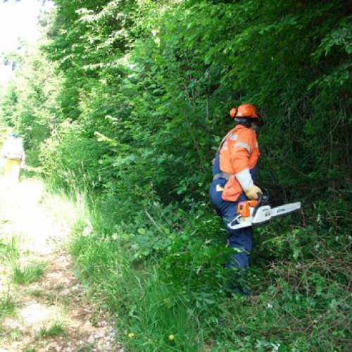 attivit‡ ripristino di una pista forestale n. 2 / 53620