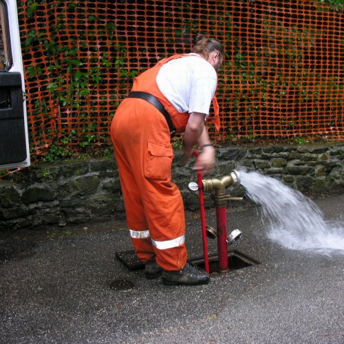 02 Rilievo.JPG / 29076