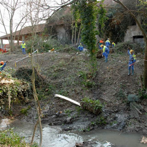 Intervento Ronchis n. 3 / 78898