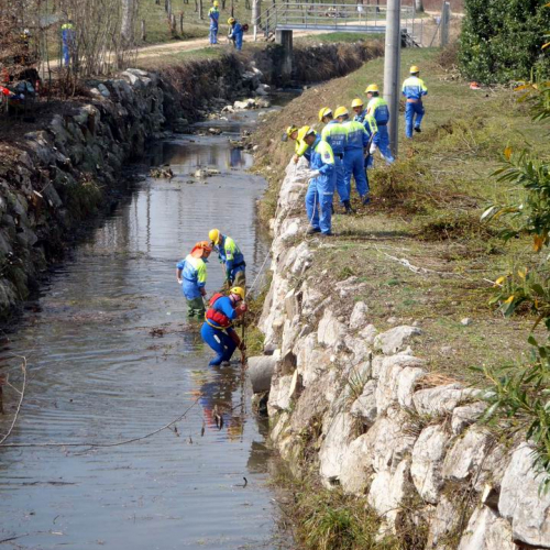 Intervento Caneva n. 3 / 78854