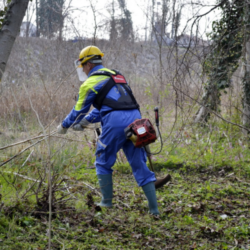 Intervento Torrente Cormor in localit‡ Basaldella n. 31 / 78545