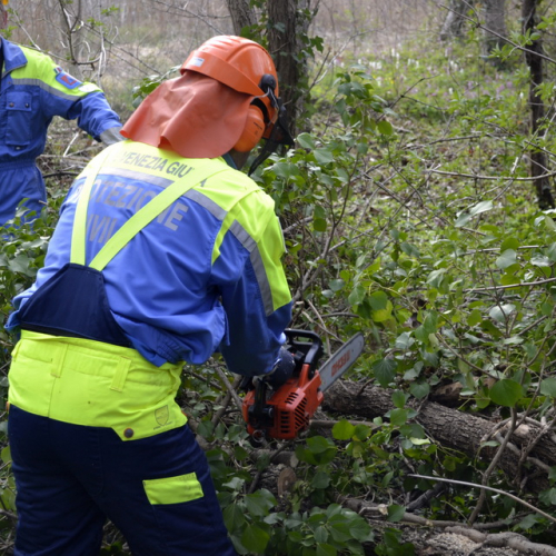 Intervento Torrente Cormor in localit‡ Basaldella n. 32 / 78546