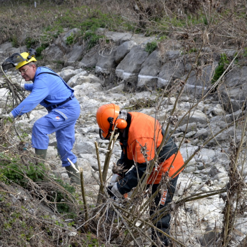 Intervento Torrente Cormor in localit‡ Basaldella n. 33 / 78547