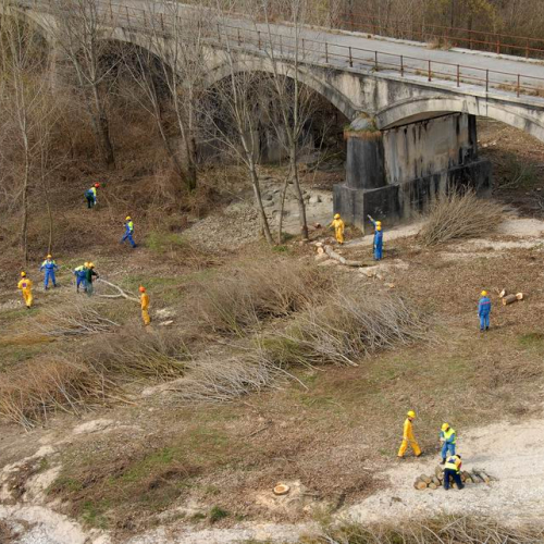 Alvei Puliti 2012 n. 1 / 78202