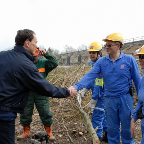 Alvei Puliti 2012 n. 4 / 78205