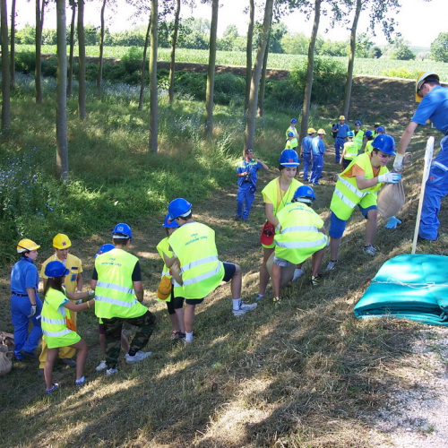 Campo formativo Prata di Pordenone n. 14 / 68857