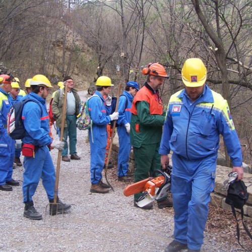 Intervento San Dorligo della Valle - Dolina n. 3 / 79115
