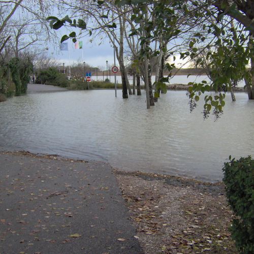 Lignano mareggiata 01/12 n. 3 / 32743