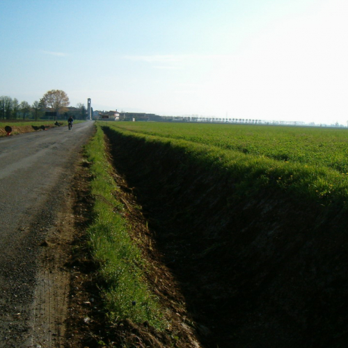 Foto riprofilatura fossati n. 1-2 (dopo l'intervento) / 23072