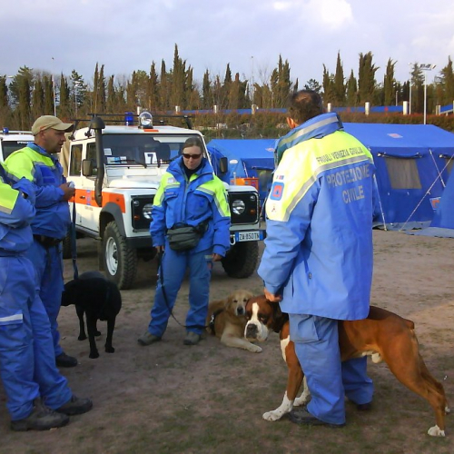Emergenza Abruzzo n. 7 / 38194