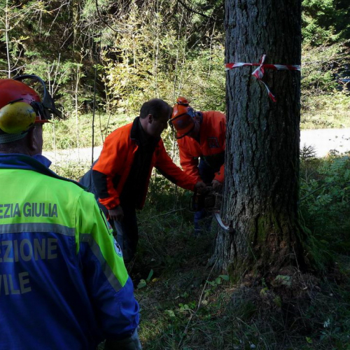 Corso motosega 10/10/10 n. 4 / 56970