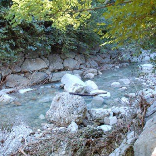 Intervento Torrente Rosandra n. 3 / 56658