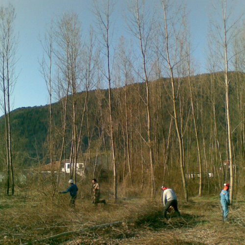 Attivit‡ 02/04/11 n. 3 / 63427