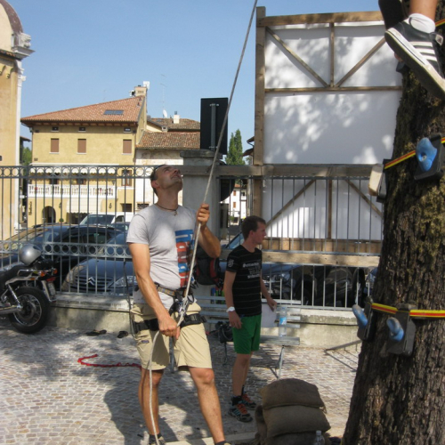 G.R.E.S.T. 2011 n. 21 / 70364