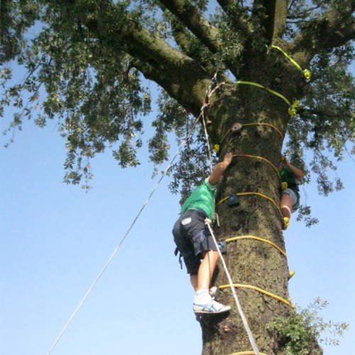 G.R.E.S.T. 2011 n. 23 / 70366