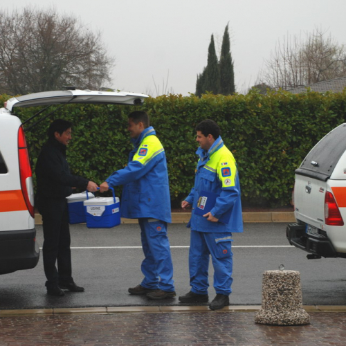 Trasporto sangue cordonale del 15/03/11 n. 3 / 61663