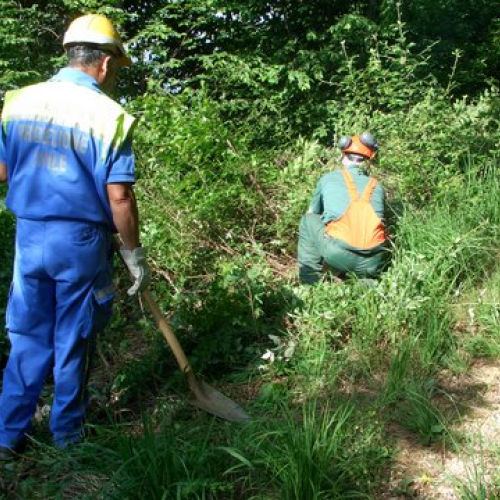 attivit‡ ripristino di una pista forestale n. 3 / 53621