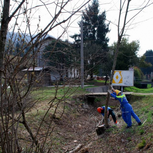 Intervento Attimis n. 4 / 78791