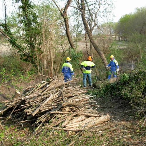 Intervento Ronchis n. 4 / 78899