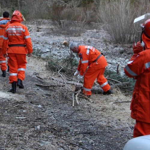 Addestramento 14/03 n. 4 / 36161