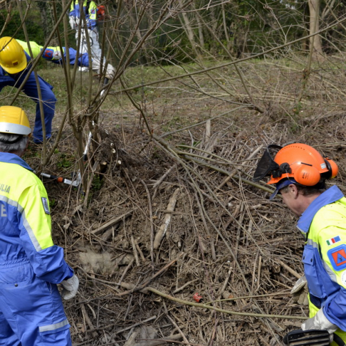 Intervento Torrente Cormor in localit‡ Basaldella n. 40 / 78554