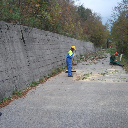 Esercitazione Monte San Simeone" n. 51""sercitazione "Monte San ""ercitazion" / 101084