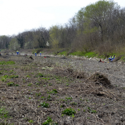 Intervento Torrente Cormor in localit‡ Basaldella n. 41 / 78555