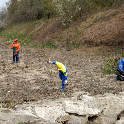 Intervento Torrente Cormor in localit‡ Basaldella n. 43 / 78557