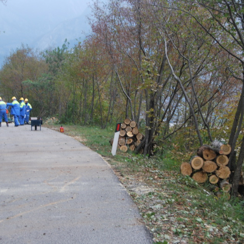 Esercitazione Monte San Simeone" n. 55""sercitazione "Monte San ""ercitazion" / 101088