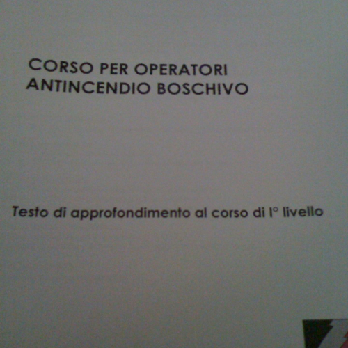 Corso AIB n. 12 / 61322