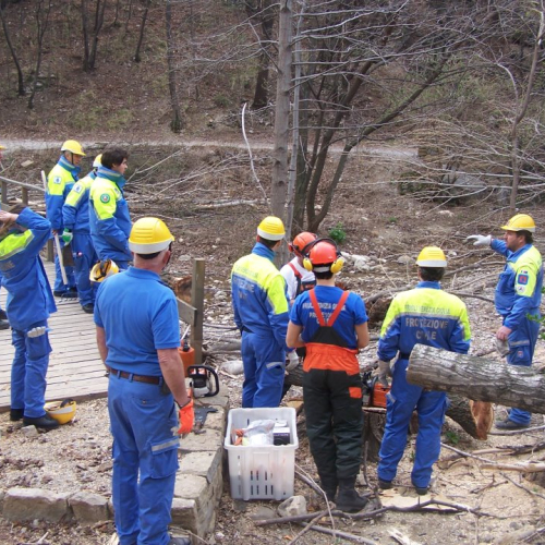 Intervento San Dorligo della Valle - Dolina n. 4 / 79116